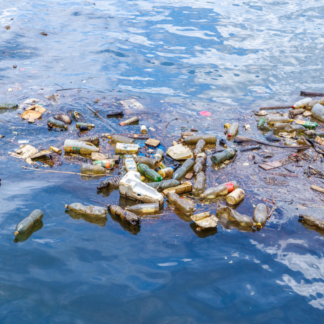 Plastic Pollution in the Ocean: The Threat to Marine Life